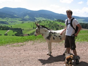 Eselwanderung